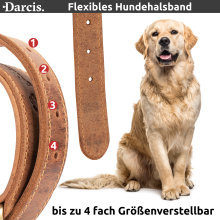 Darcis Hundehalsband Braun - Extrem robustes Lederhalsband aus hochwertigem Rindsleder - Ideal für starke Hund - Halsband Hund - Hundehalsband Leder - Lederhalsband Hund - 40 - 47,5 cm Halsumfang