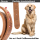 Darcis Hundehalsband Braun - Extrem robustes Lederhalsband aus hochwertigem Rindsleder - Ideal für starke Hunde - Halsband Hund - Hundehalsband Leder - Lederhalsband Hund - 45 - 52,5 cm Halsumfang