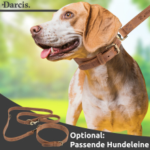 Darcis Hundehalsband Braun - Extrem robustes Lederhalsband aus hochwertigem Rindsleder - Ideal für starke Hund - Halsband Hund - Hundehalsband Leder - Lederhalsband Hund - 50 - 57,5 cm Halsumfang